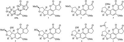 Accurate Identification of Degraded Products of Aflatoxin B1 Under UV Irradiation Based on UPLC-Q-TOF-MS/MS and NMR Analysis